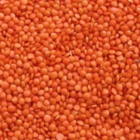 MASOOR DAL 500gm